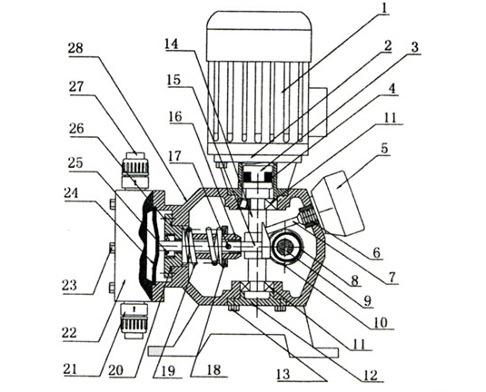 計量泵部位結(jié)構展(zhǎn)示圖